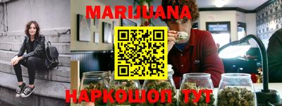 сатива Ставрополь