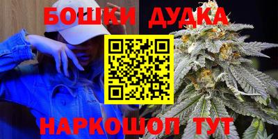 сатива Ставрополь