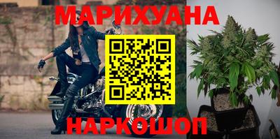 сатива Ставрополь