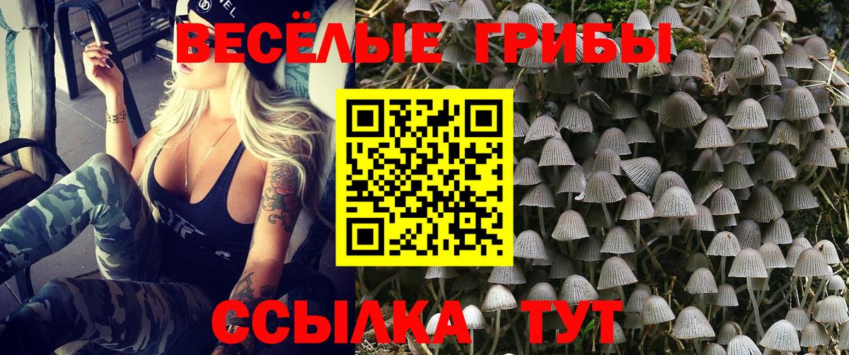 Подольск  Псилоцибиновые грибы Psilocybine cubensis  Вход с VPN 