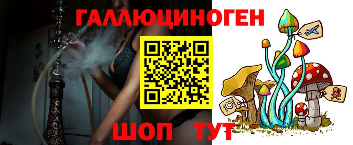 Галлюциногенные грибы Psilocybine cubensis Подольск